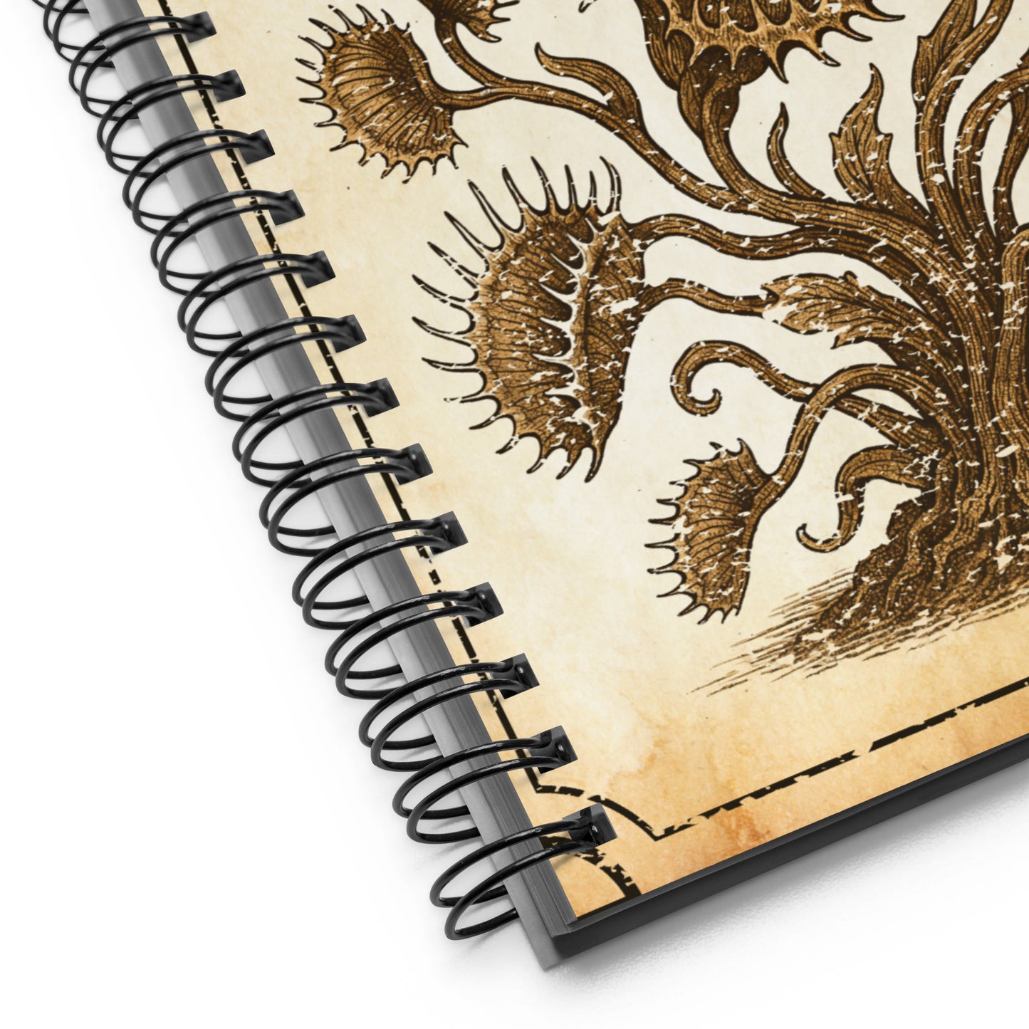 Dionaea innsmuthensis – A New Botanical Discovery Spiral notebook